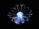 Christmas Gift Colorful LED of Chrysanthemum Light